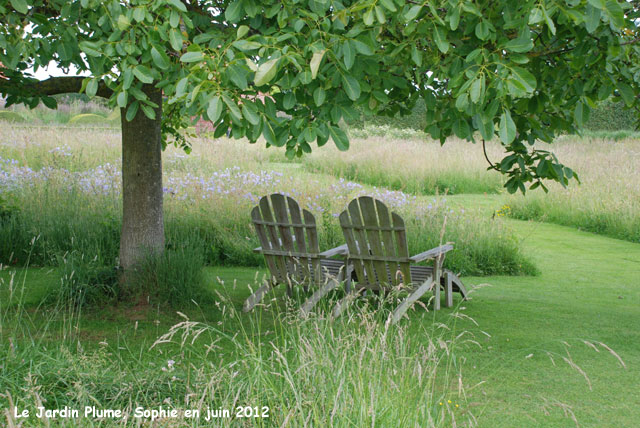 Plume: fauteuils