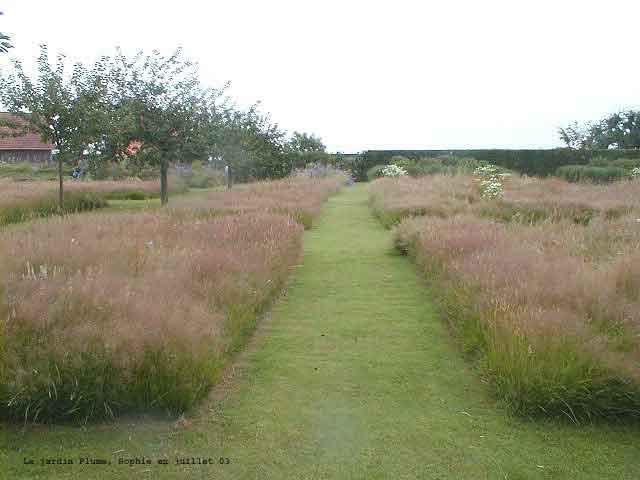 Le jardin Plume