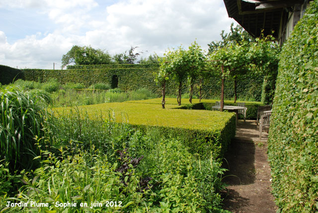  jardin Plume: table de buis