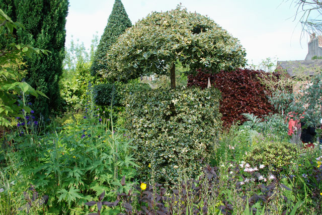 persistants à Poplar Grove