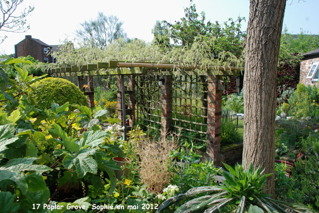 Poplar Grove: vue sur la pergola