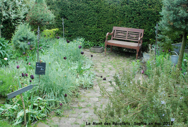 récollets : jardin gris