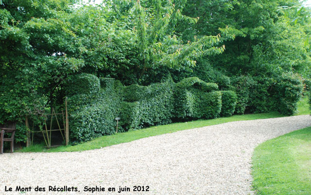 récollets : aubépines sculptées