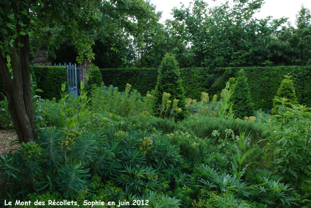 récollets : jardin d'été