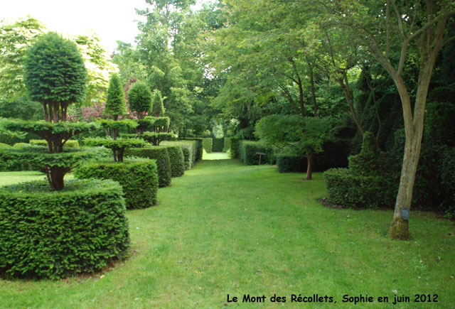 récollets : alignement de topiaires