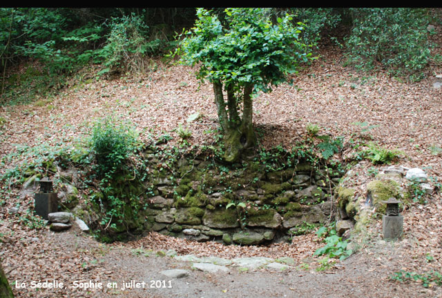 La Sédelle: la source