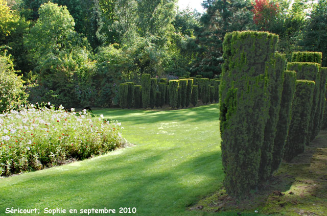 Séricourt: armée de guerriers