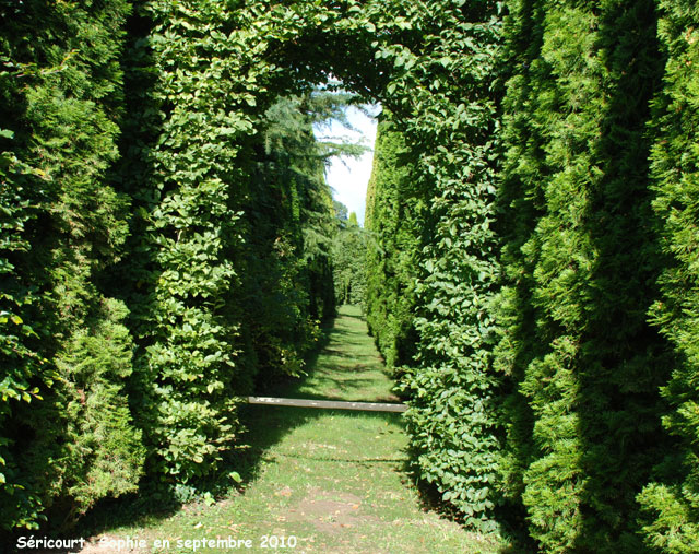 Séricourt: allée de l'infini