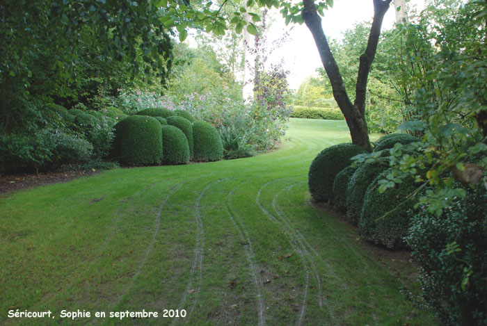 Séricourt: allée nostalgique