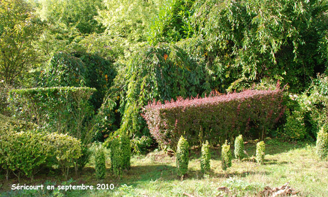 Séricourt: les pleureuses