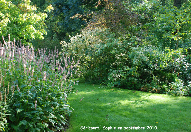 Séricourt: les vivaces