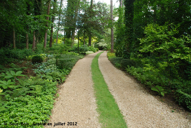 L'entre au sous-bois