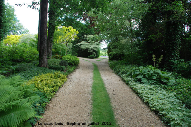 au bout du chemin