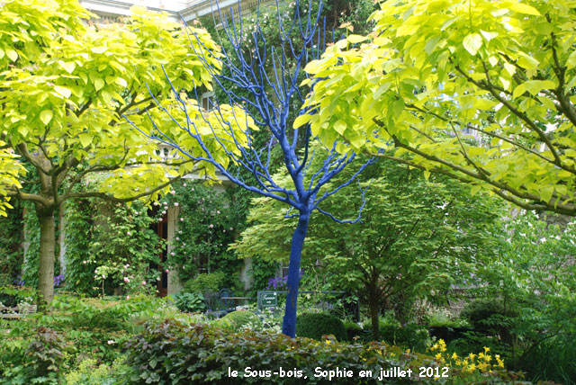le Catalpa bleu