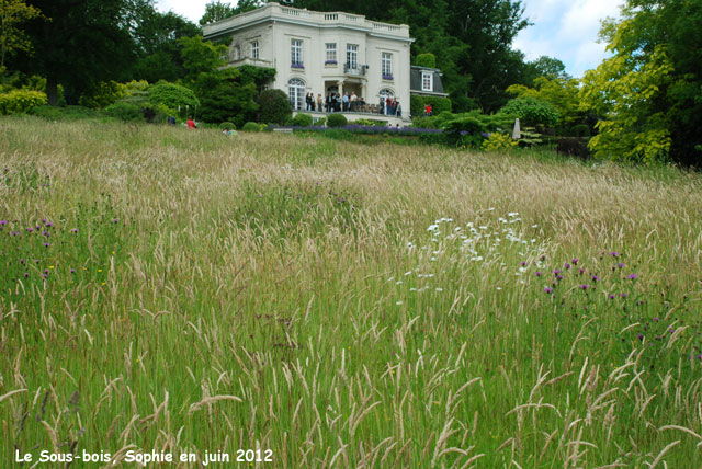 La maison vue d ela prairie