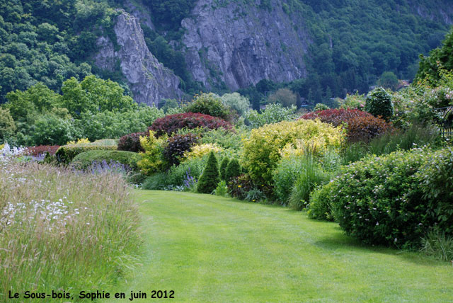 massif pourpre et dor 