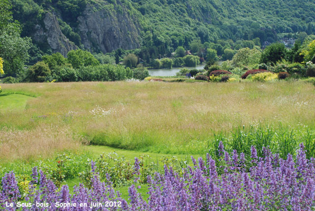 La valle de la Meuse