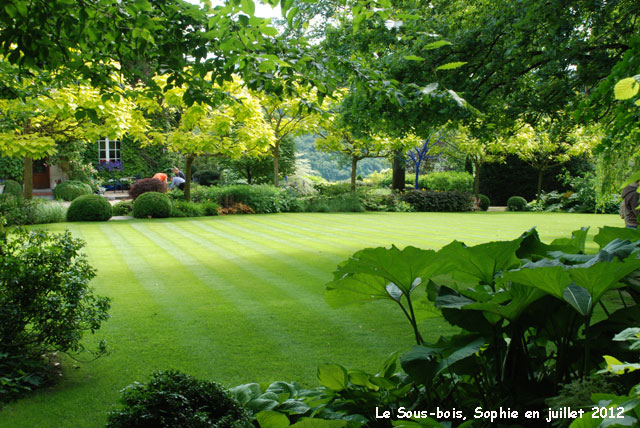 la prairie aux Catalpa
