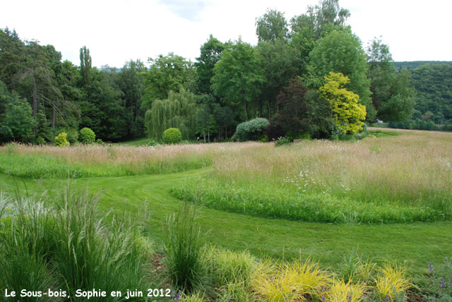 La peairie au Sous-bois