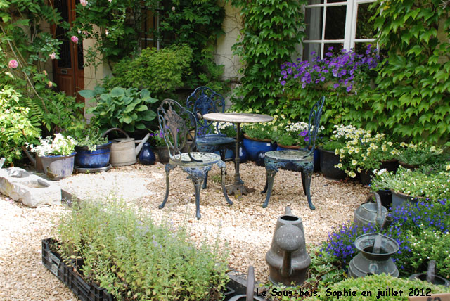 terrasse bleue au sous-bois