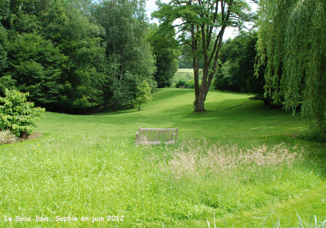 Banc au Sous-bois