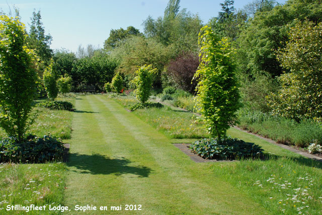 Stillingfleet: l'avenue