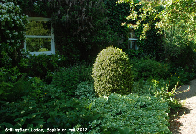 Stillingfleet: ientrée