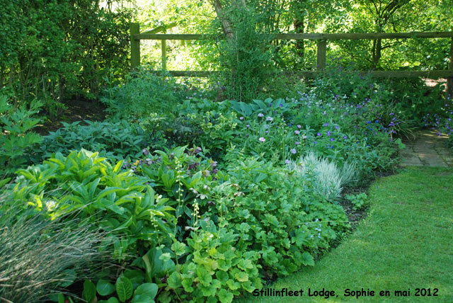 Stillingfleet: detail massif