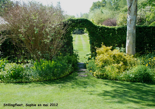 Stillingfleet: ouverture dans la haie