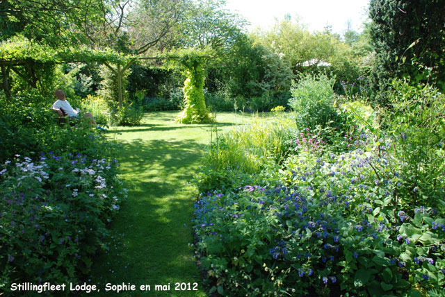 Stillingfleet: pergola de houblon