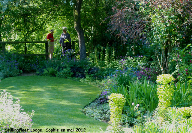 Stillingfleet: jardin du poirier