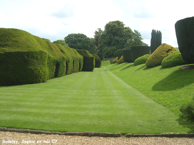 Sudeley Castle: haies d'ifs