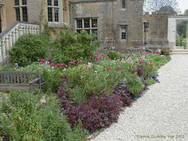Sudeley Castle: jardin pourpre