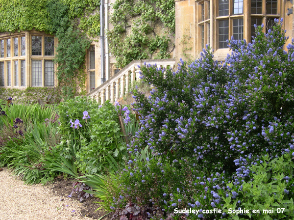 Sudeley Castle: jardin pourpre