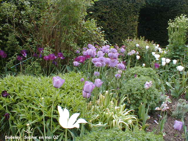 Sudeley Castle: jardin secret