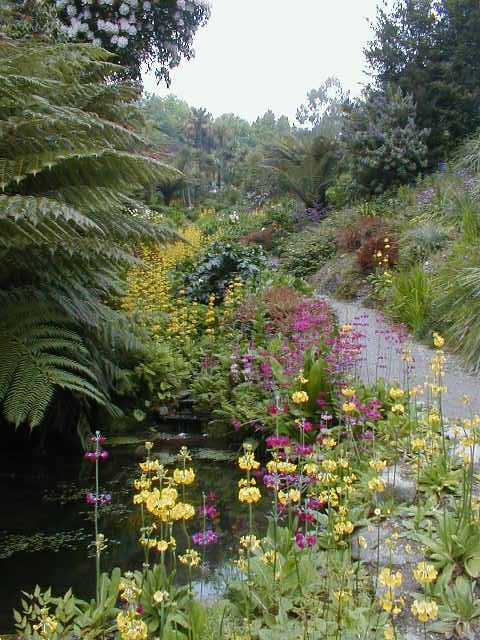 Trebah Garden