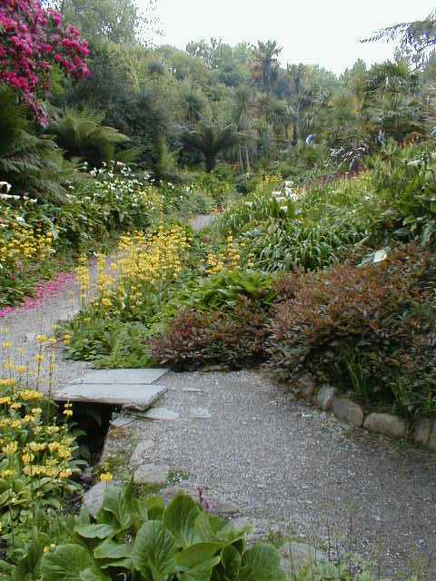 Trebah Garden