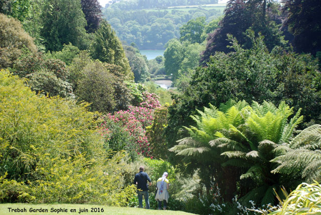 Trebah garden