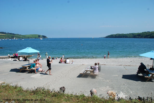 Trebah: plage