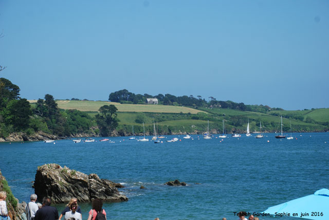 Trebah: plage