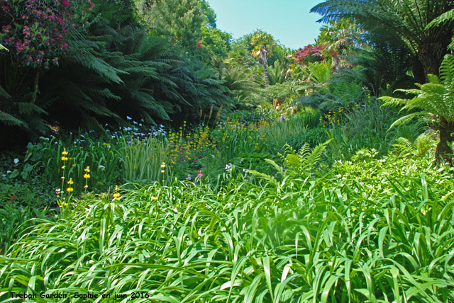 Trebah lawn path