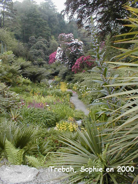 Trebah Garden