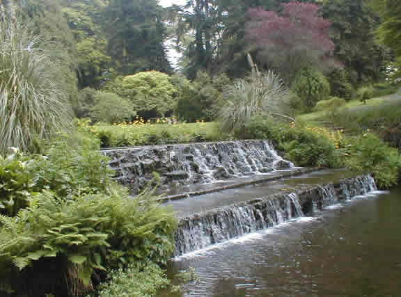 �tang de Trevarno