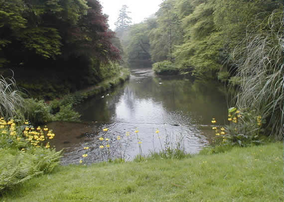 �tang de Trevarno