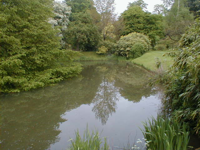 l'�tang � Upton House