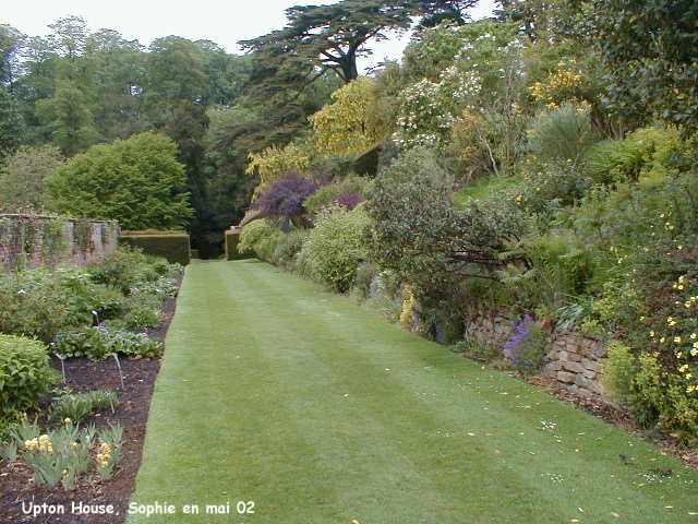 mixed border � Upton House