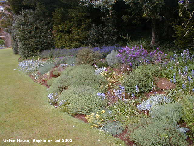petit massif pr�s de la piscine � Upton House
