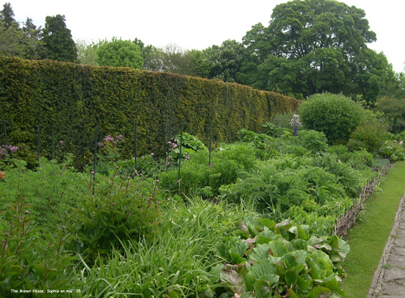 Manor House: massif ouest