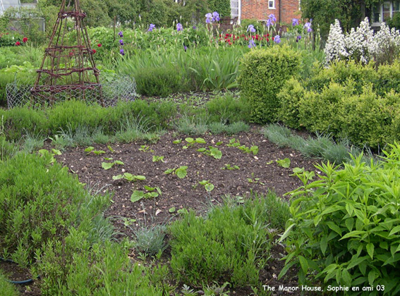 Manor House: potager