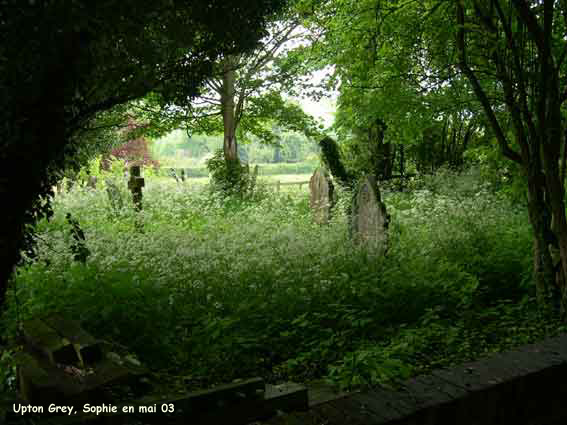 Manor House: cimetière